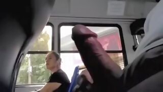 amateur Fatty amateur on bus pretends not to see my cock exhibitionism public